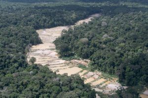 Exploração da Amazônia