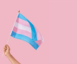 No Dia Nacional da Visibilidade Trans, Sindicato alerta para enfrentamento à violência contra pessoas LGBTQIA+